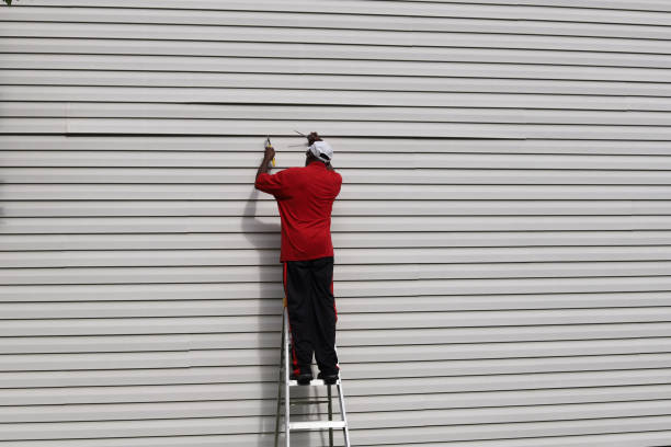 Affordable Siding Repair and Maintenance Services in Young Harris, GA