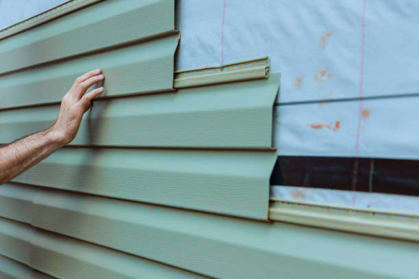 Best Brick Veneer Siding  in Young Harris, GA